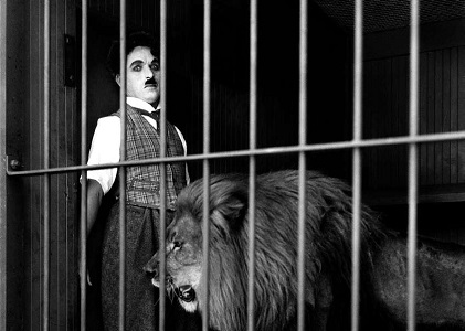 LE CIRQUE - Découvrir un film sur grand écran