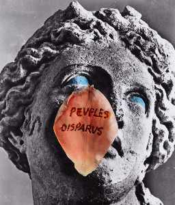 Visite de l'exposition Mémoires des ruines